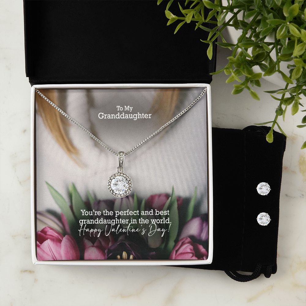 To My Granddaughter, You're The Perfect & Best Granddaughter In The World - Eternal Hope Necklace & Clear CZ Earrings - Gift for Granddaughter