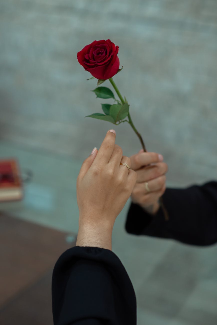 For Soulmate