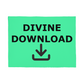 Divine Download Coral Fleece Blanket – Gift for Her - Gift for Him