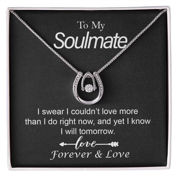 To My Soulmate, I Swear I Couldn&