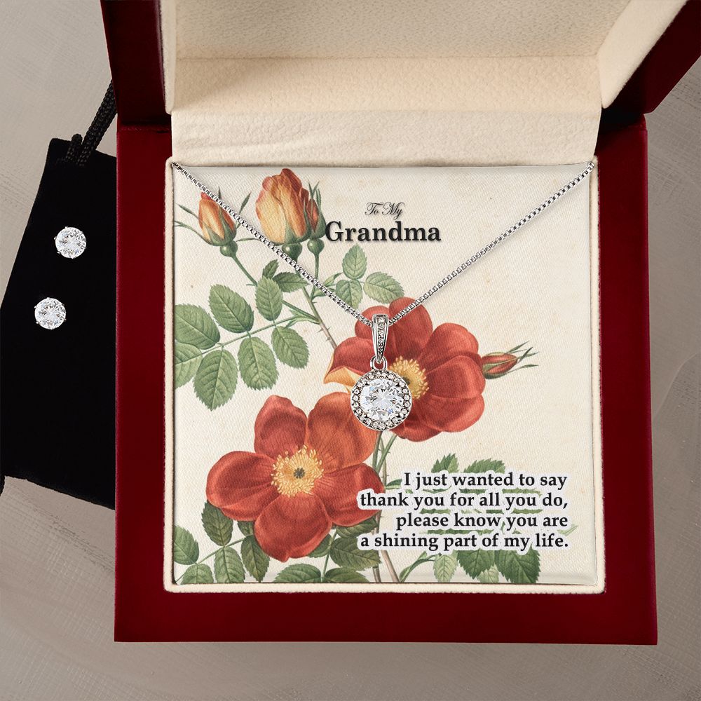 To My Grandma, I Just Wanted To Say Thank You For All You Do - Eternal Hope Necklace &amp; Clear CZ Earrings - Gift for Grandma